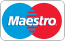 Maestro logo