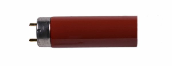 Philips TL-D 58W 15 1500mm red 95445940