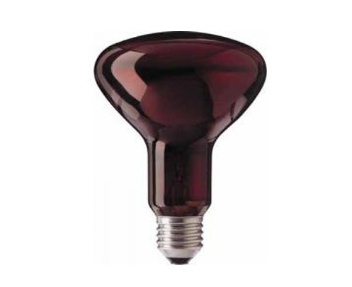 Philips IR lamp 100W E27 230V R95 rood