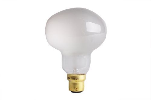 Testa Martello Cornalux lamp 75W B22d 230V
Een helft mat, andere helft opaal verspiegeld, hamer model
Toegepast is Oluce Spider lamp van Joe Colombo