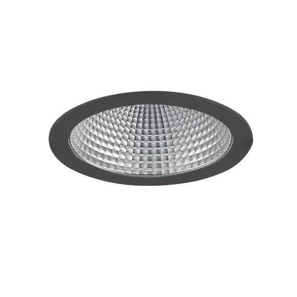 World 200 LED inbouwdownlighter 38,5W voor vlees 50° zwart