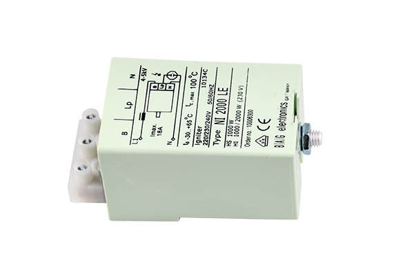 Bag 10006300 NI 2000 LE  ontsteker 4kV - 5kV