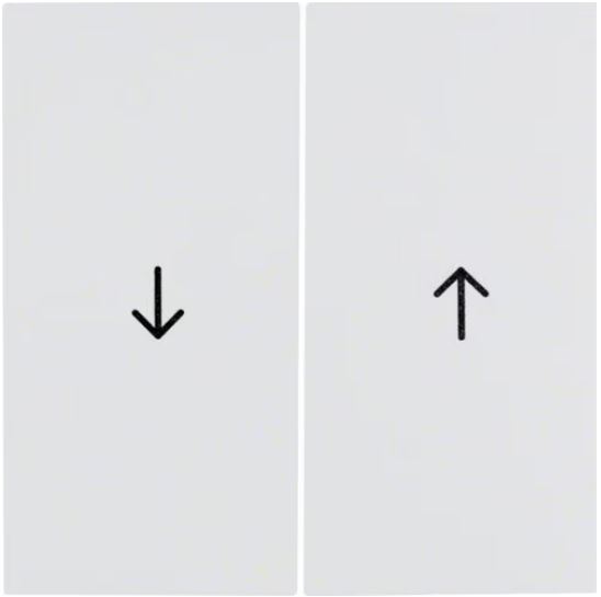 Berker S.1, B.1, B.3, B.7, glas inzetplaat jalouzie wipschakelaar met pijlen polarwit RAL9010 glanzend